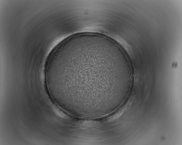 X0000101181077200807111110