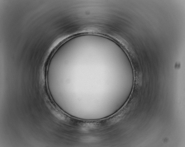 X0000101181078200807111110