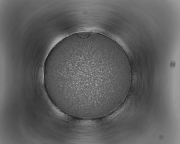 X0000101181079200807111110