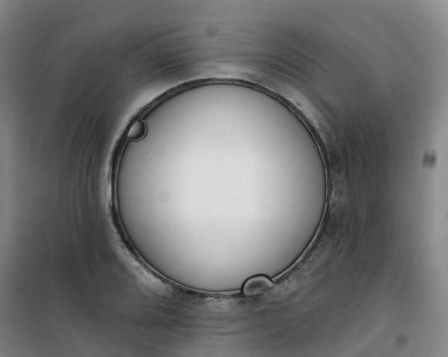 X0000101181080200807111110