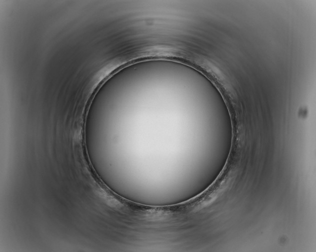 X0000101181081200807111110