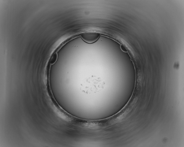 X0000101181082200807111110