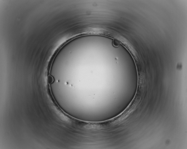 X0000101181083200807111110