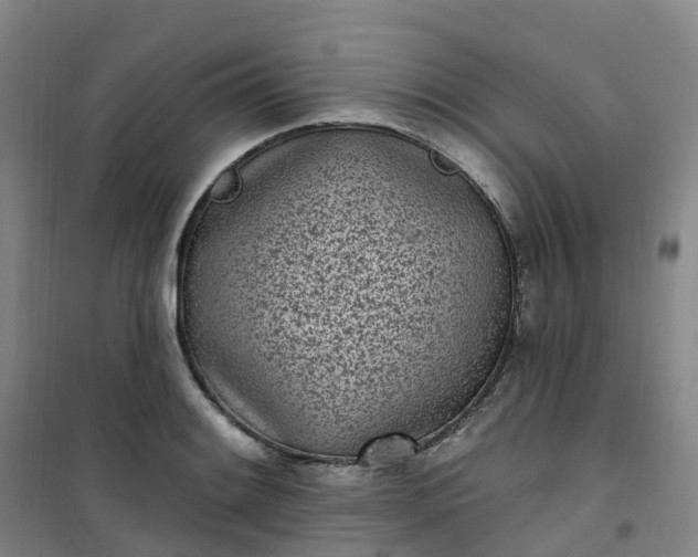 X0000101181084200807111110