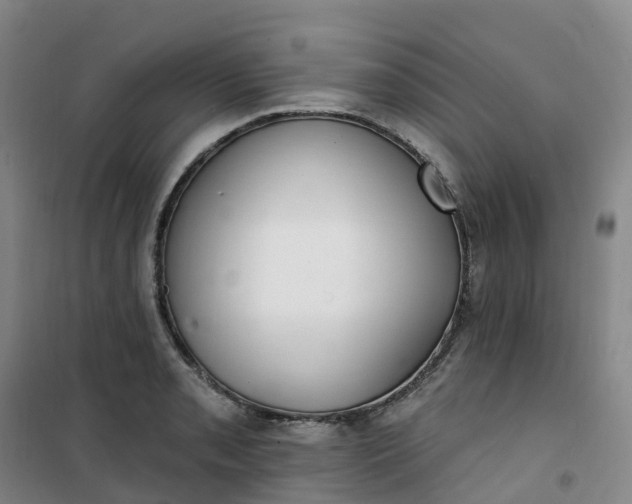 X0000101181085200807111110