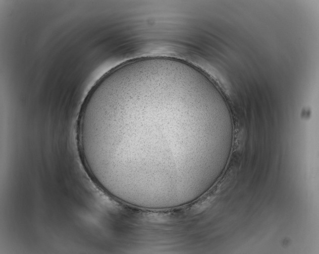 X0000101181086200807111110