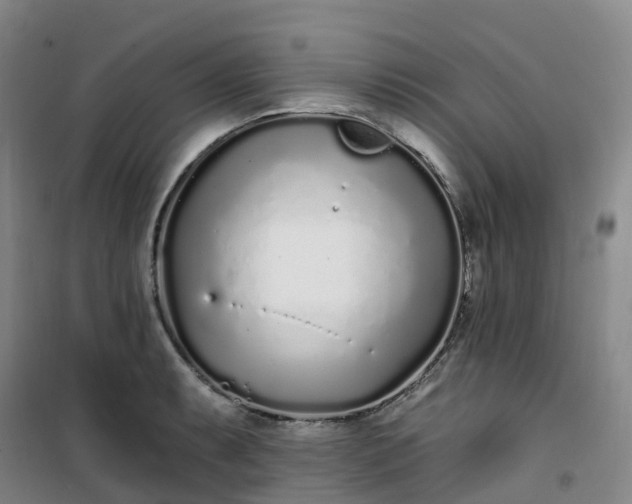 X0000101181087200807111110
