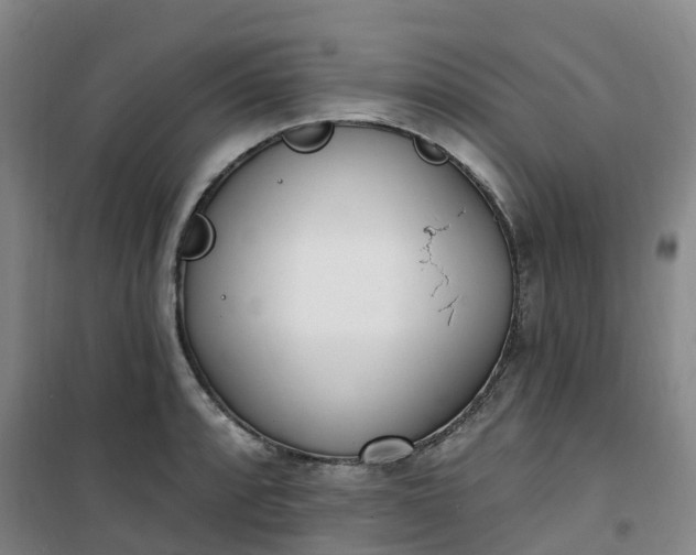 X0000101181088200807111110
