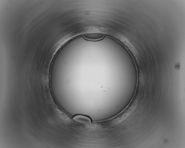 X0000101181089200807111110