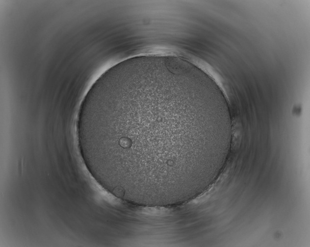 X0000101181091200807111110