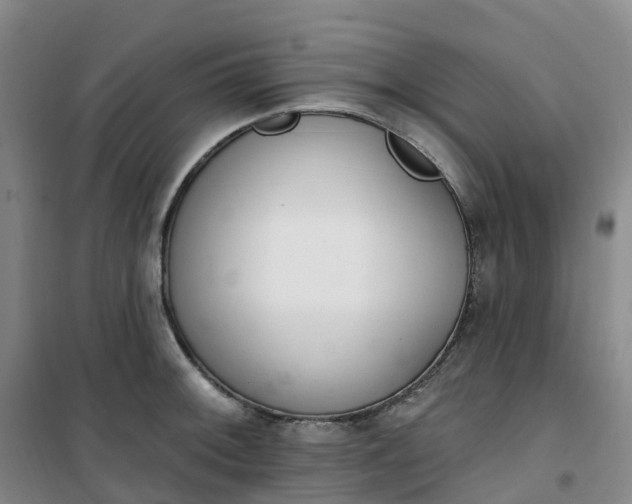 X0000101181092200807111110