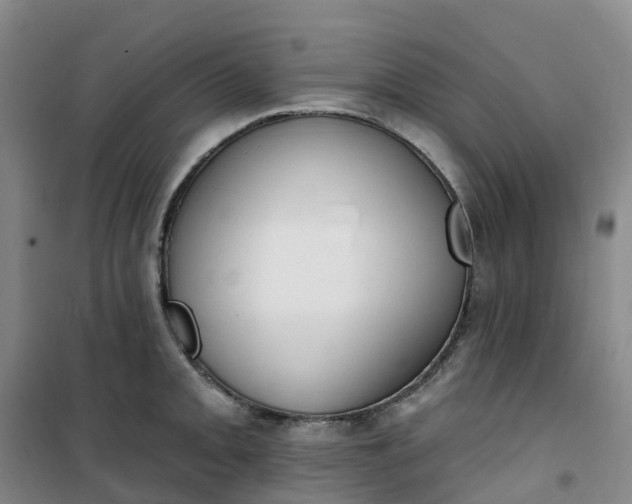 X0000101181093200807111110