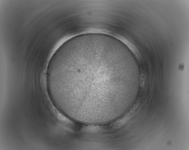 X0000101181094200807111110