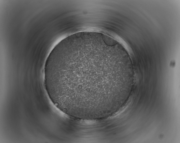 X0000101181095200807111110