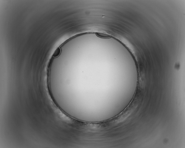 X0000101181096200807111110
