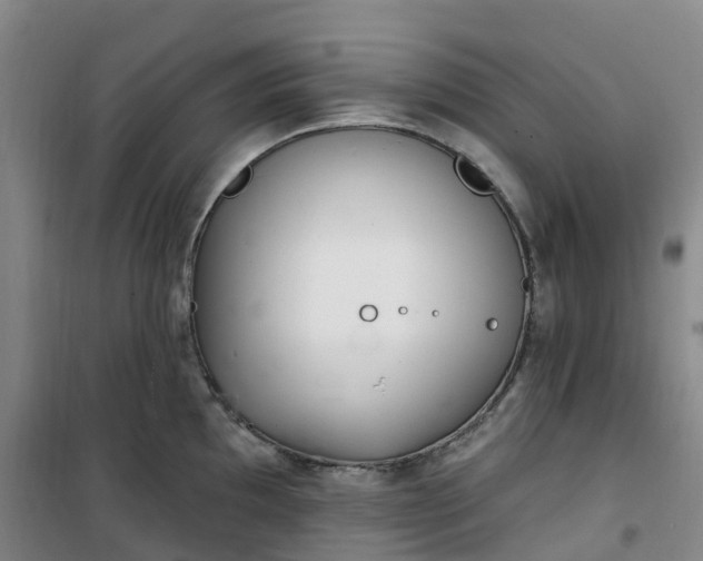 X0000101181097200807111110