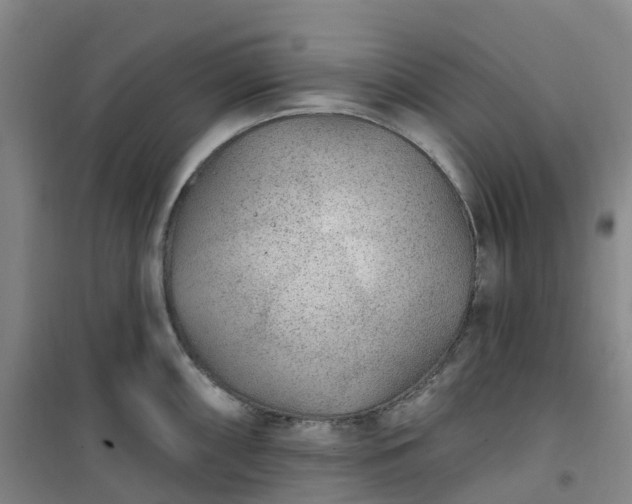 X0000101181098200807111110