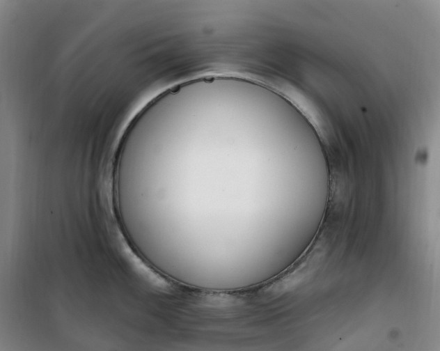 X0000101181100200807111110