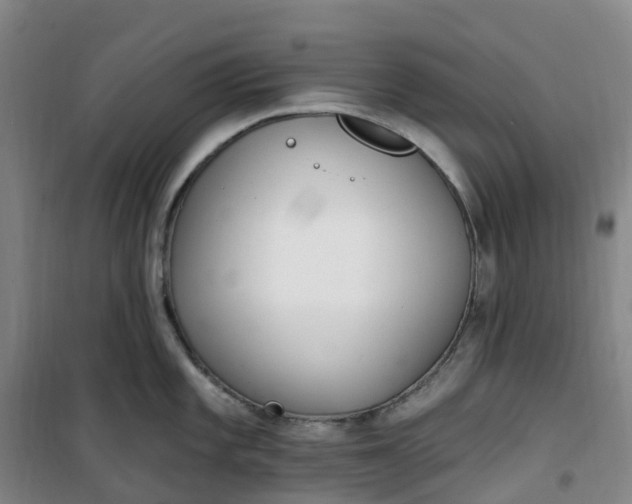 X0000101181101200807111110