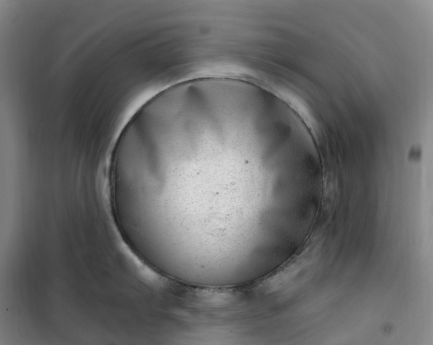 X0000101181103200807111110
