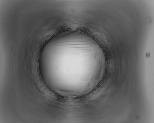 X0000101181105200807111109