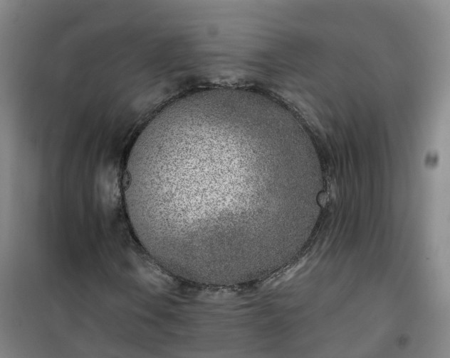 X0000101181106200807111109
