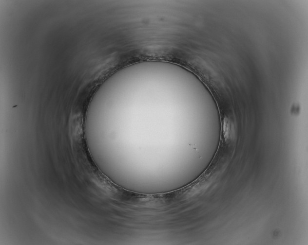 X0000101181107200807111109