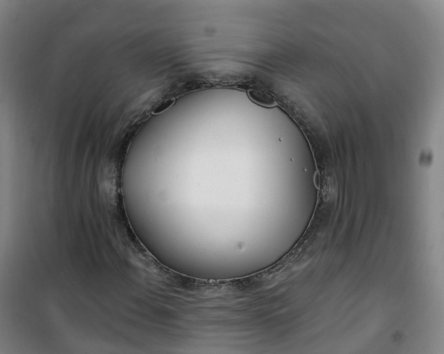 X0000101181108200807111109