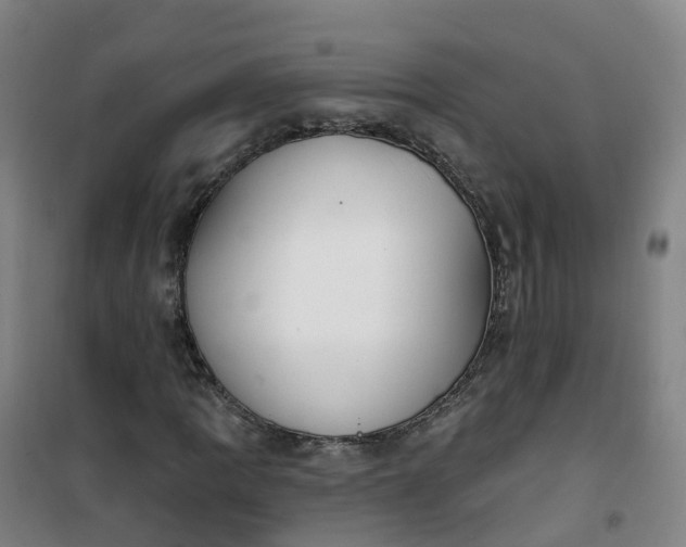 X0000101181109200807111109