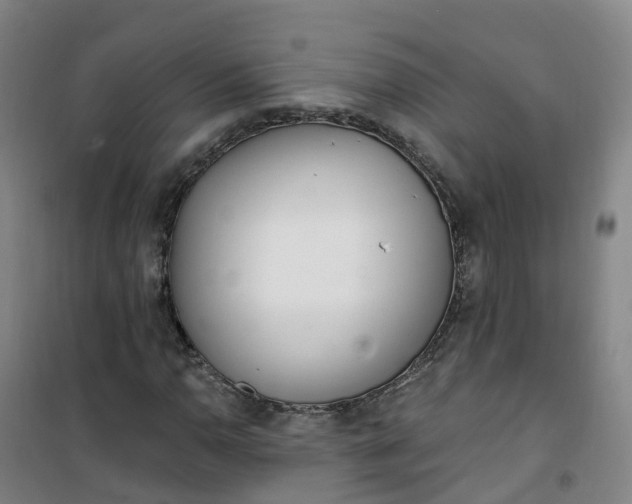 X0000101181110200807111109