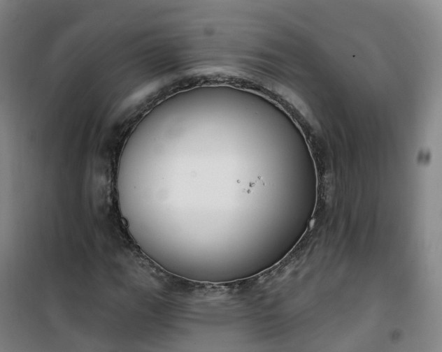 X0000101181111200807111109