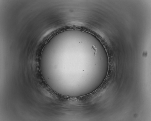 X0000101181112200807111109