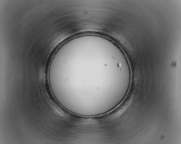X0000101181113200807111109