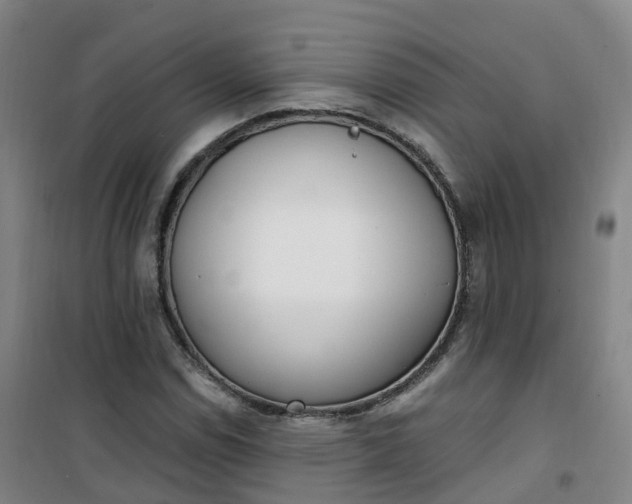 X0000101181114200807111109