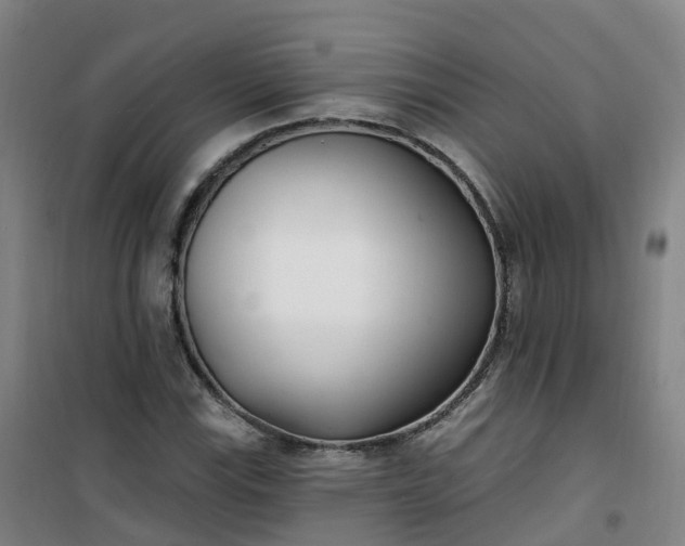 X0000101181115200807111109