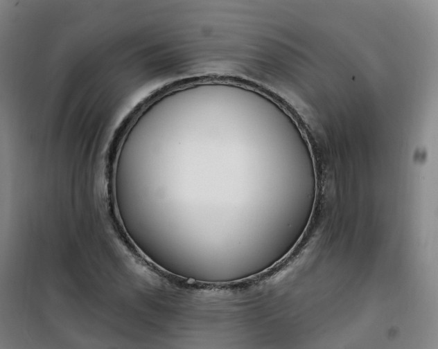 X0000101181118200807111109