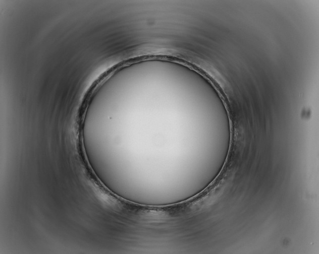 X0000101181119200807111109