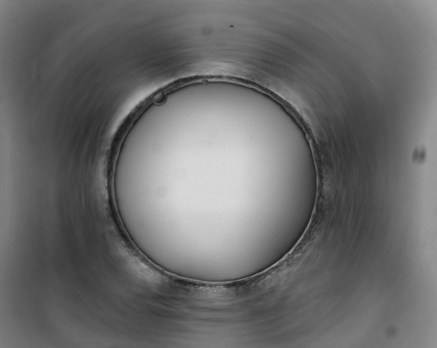 X0000101181120200807111109