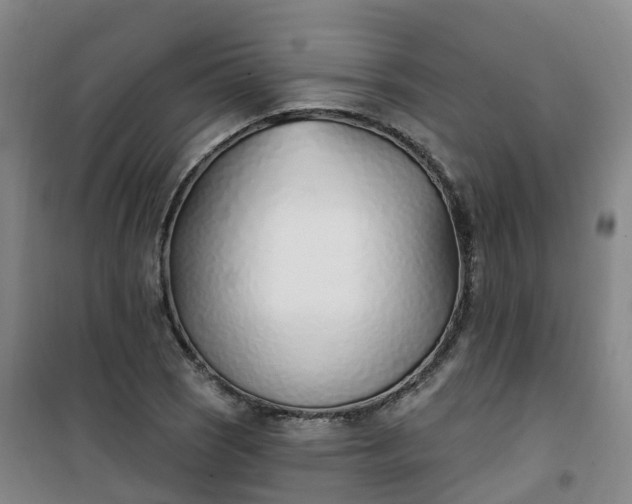 X0000101181121200807111109