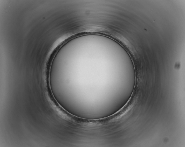 X0000101181122200807111109