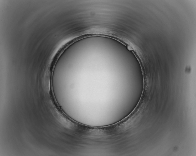 X0000101181123200807111109