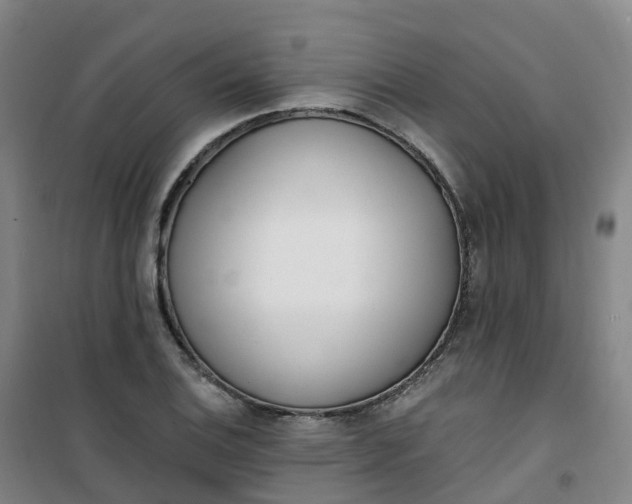 X0000101181124200807111109