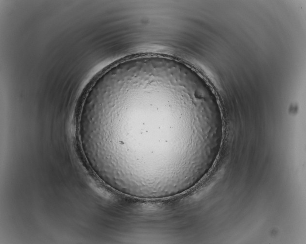 X0000101181125200807111109