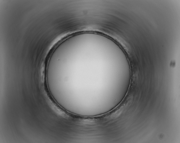 X0000101181126200807111109