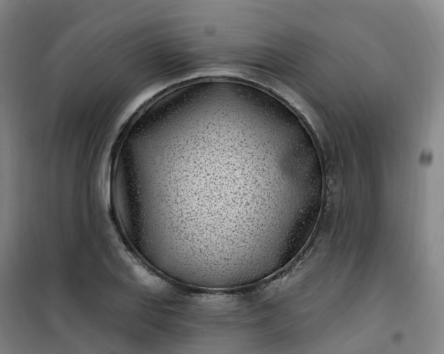 X0000101181127200807111109