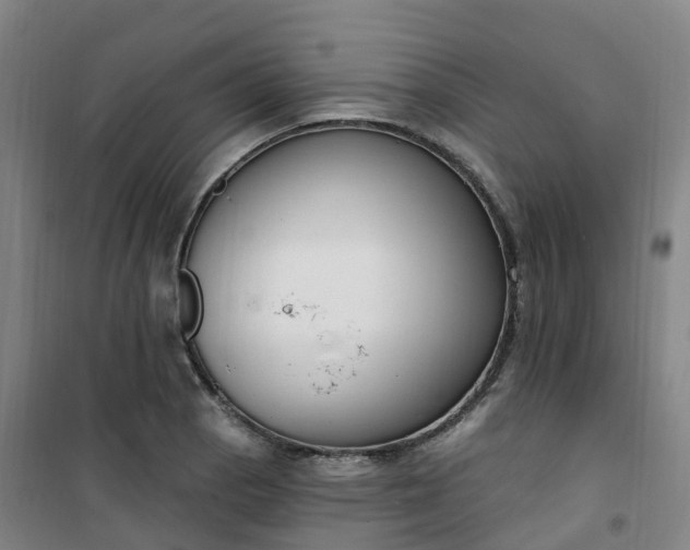 X0000101181129200807111109