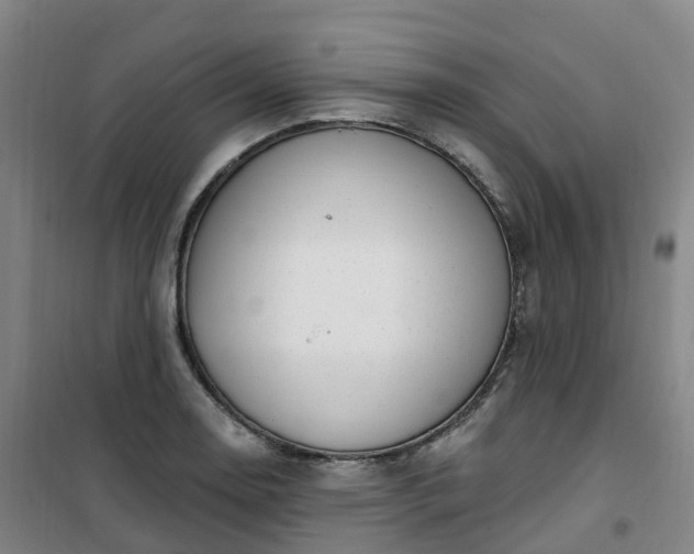 X0000101181130200807111109