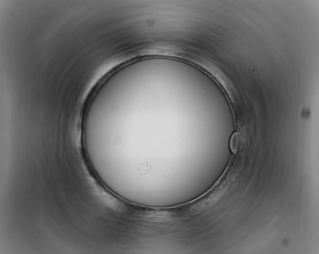 X0000101181131200807111109