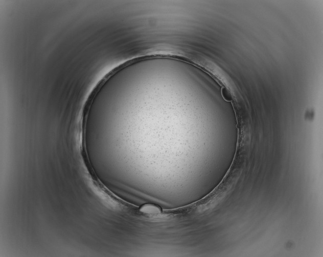 X0000101181132200807111109