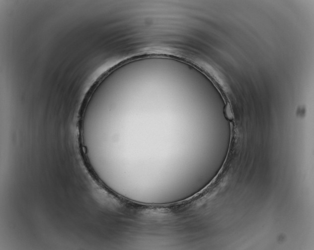 X0000101181133200807111109